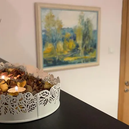 Luxury Furnished Apartment, Near The Center Gallery 55 Διαμέρισμα *