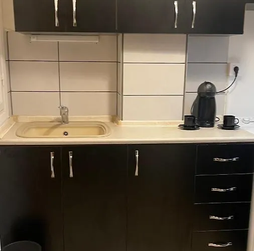 Apartamento Luxury Furnished Apartment, Near The Center Gallery 55