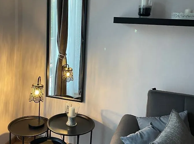 Apartamento Luxury Furnished Apartment, Near The Center Gallery 55